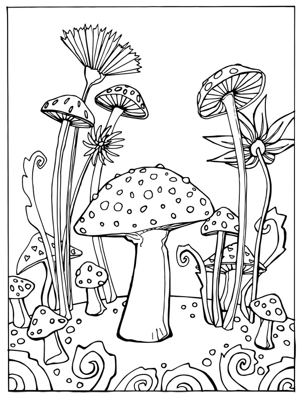 Flora and fauna coloring sheets â short leg studio