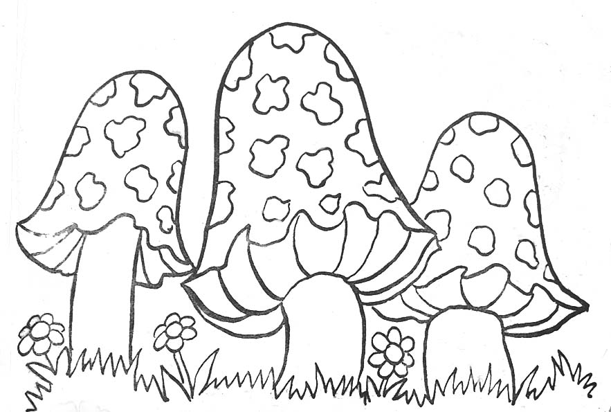 Mushroom image to download and color