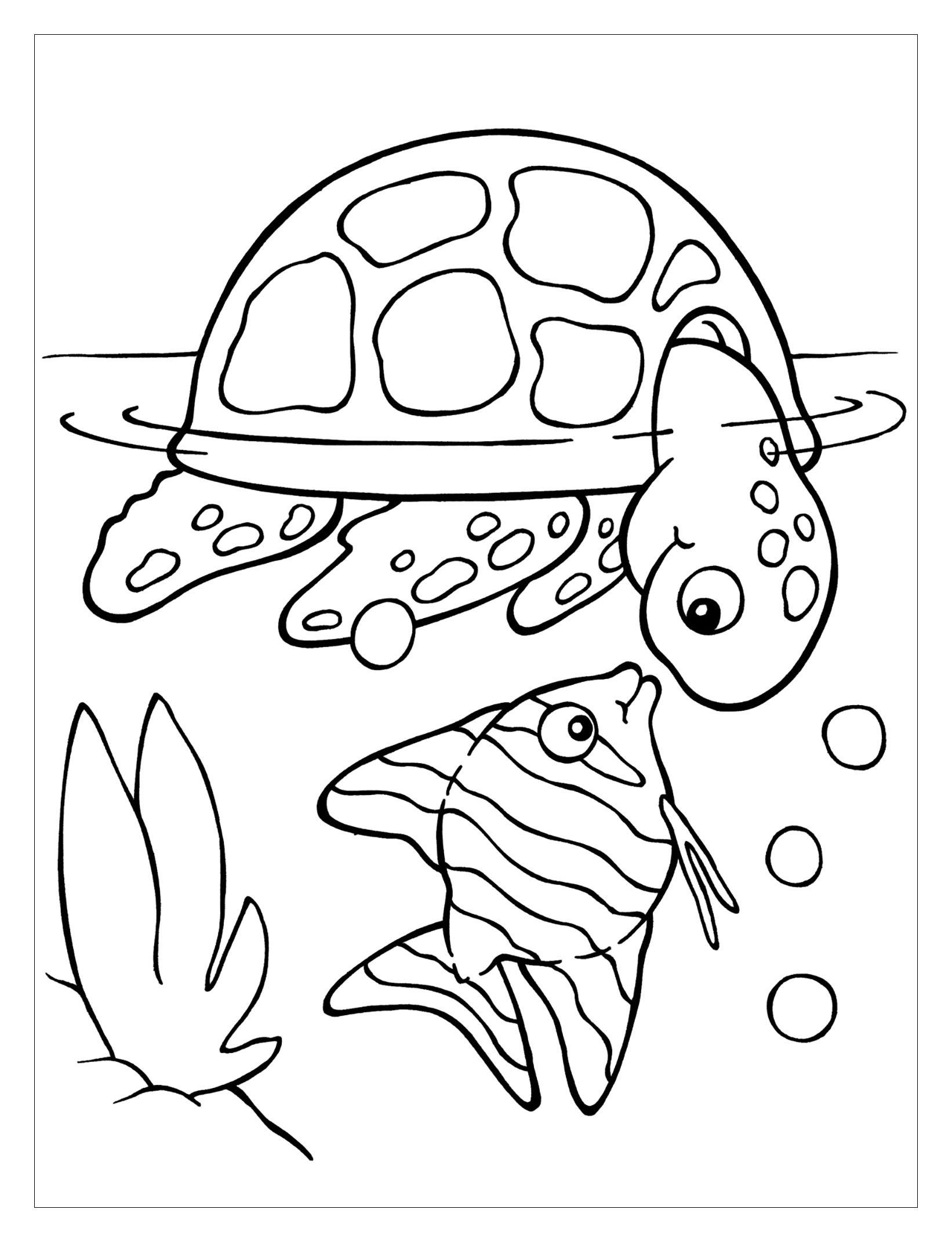 Coloring pages extraordinary turtle coloring pages for adults photo inspirations sheet kids cute