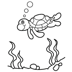 Top free printable cute sea turtle coloring pages online