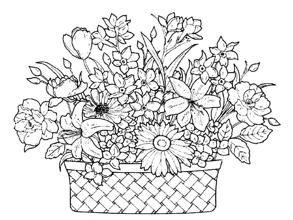 Coloring pages february the william museum of art