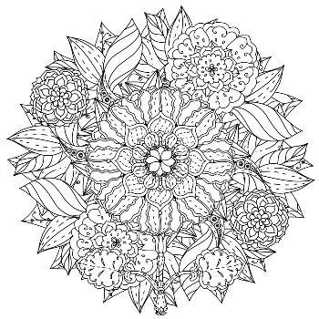 Contoured mandala shape flowers for adult coloring book in zen therapy style for anti stress dr print