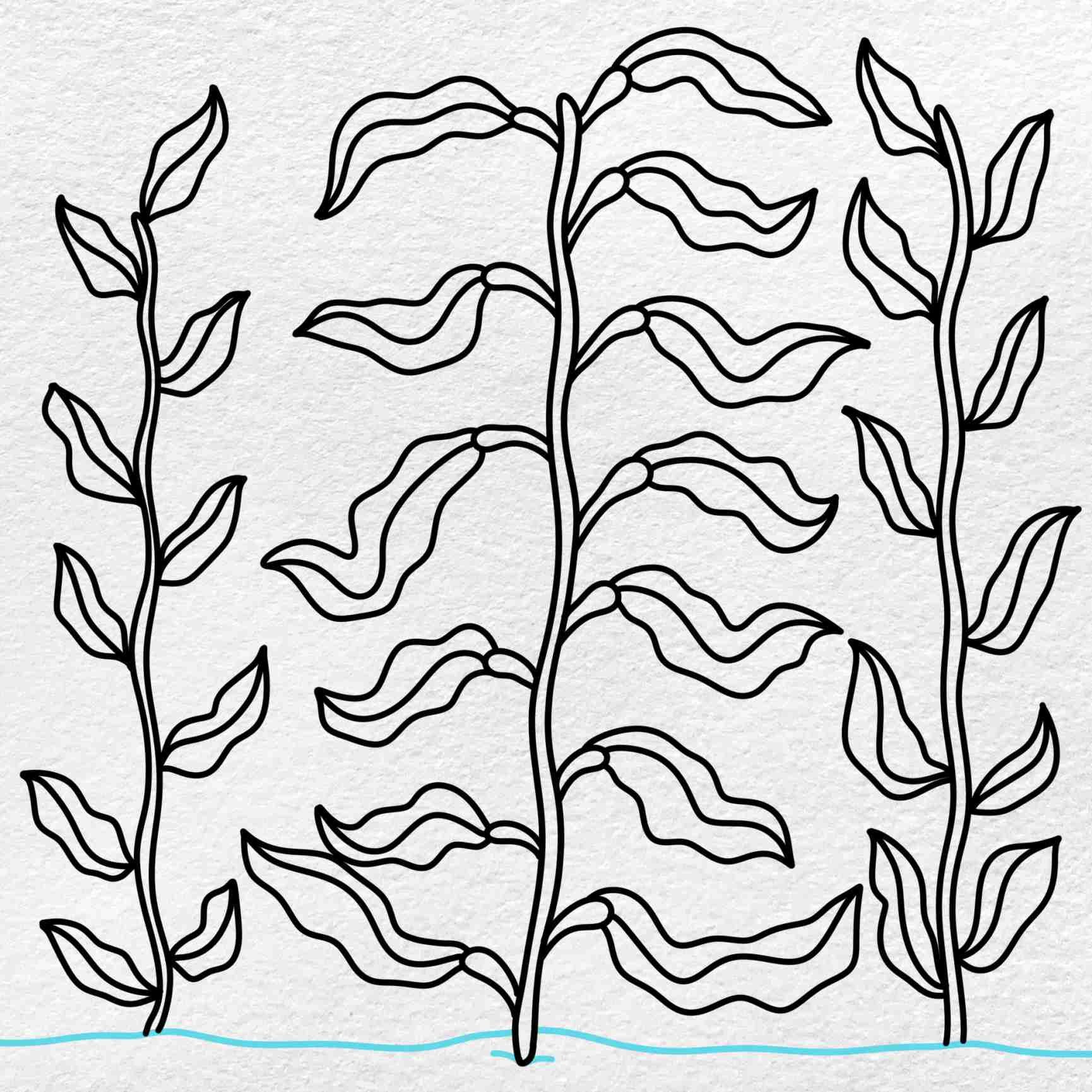 How to draw kelp