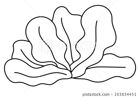 Vector black and white seaweeds icon under the