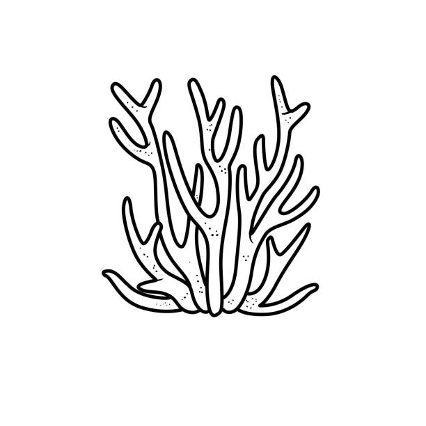 Kelp forest stock illustrations royalty