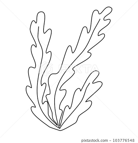 Sea and aquarium water plant seaweed doodle