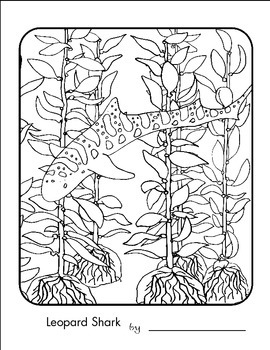 Ocean forests coloring pages by bright world ebooks tpt