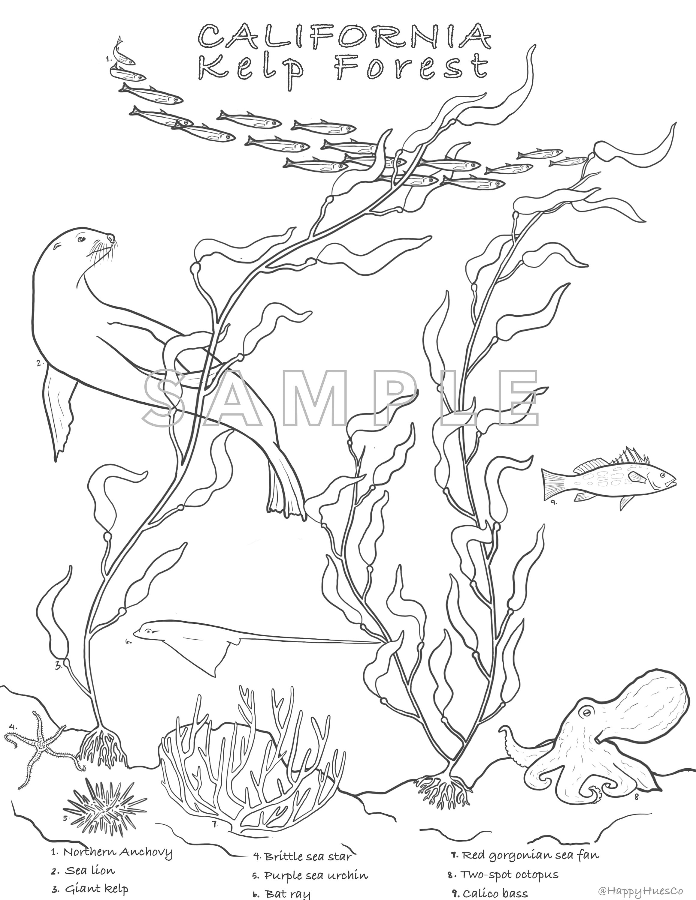Kelp forest coloring page digital downloadkids and adults print instantly download now