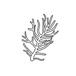 Coral kelp drawing vector images over