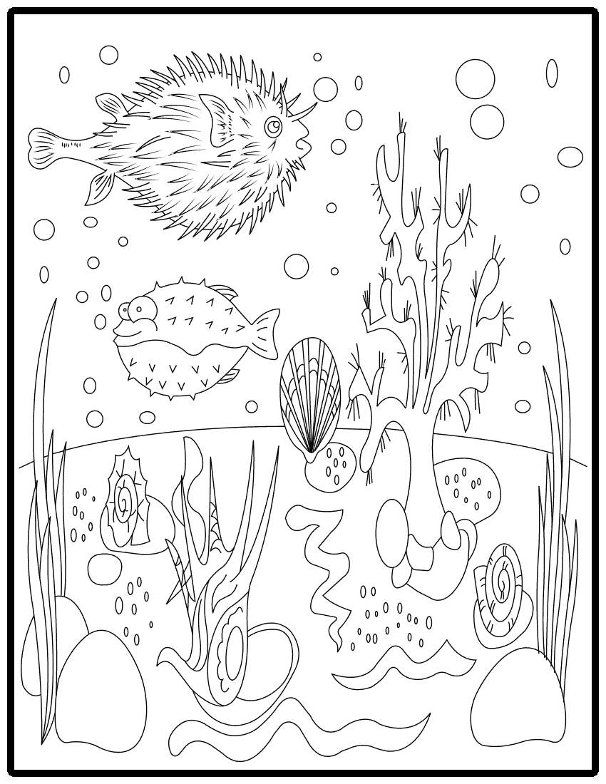 Fish coloring pages download or print pdf