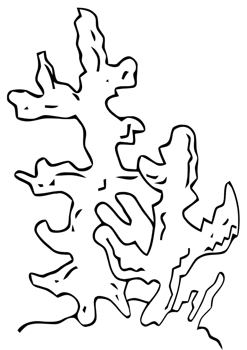 Seaweed coloring pages coloring pages to download and print