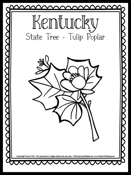 Kentucky state tree coloring page the tulip poplar free printable â the art kit