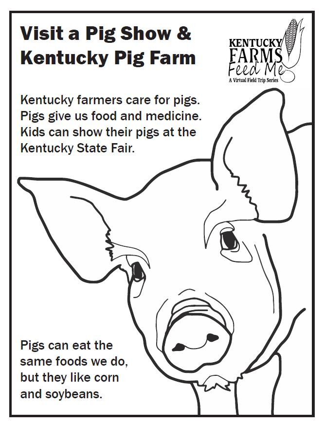 Kentucky farms feed me