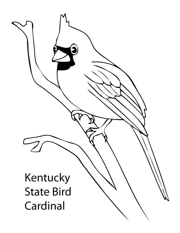 Cardinal coloring pages