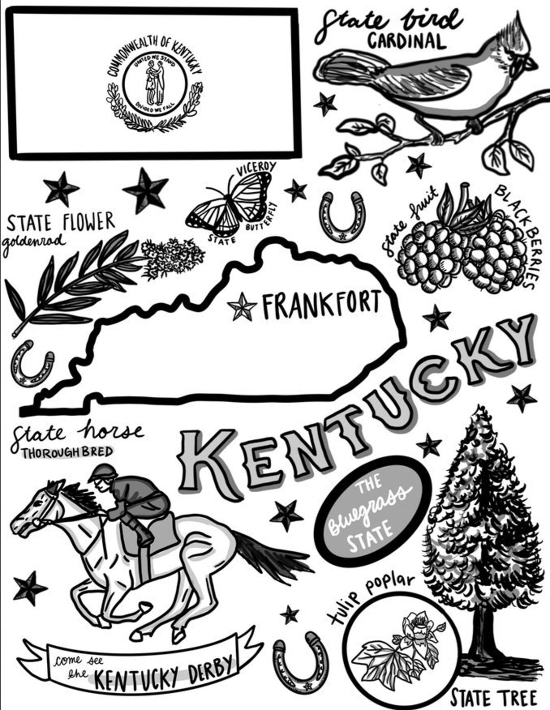 Kentucky coloring page