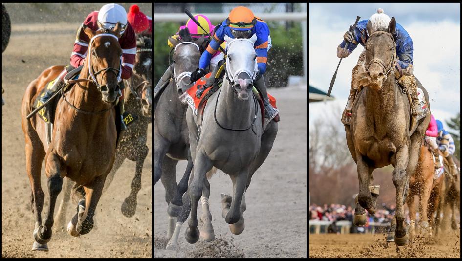 Kentucky derby cheat sheet get to know the horses americas best racing