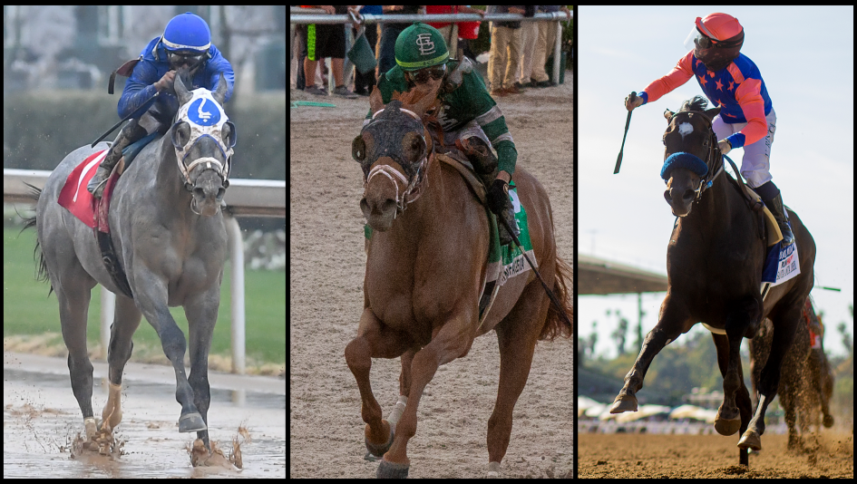 Kentucky derby cheat sheet americas best racing