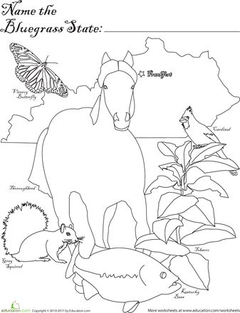 Bluegrass state worksheet education education national symbols kentucky