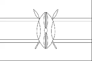 Kenya flag coloring page