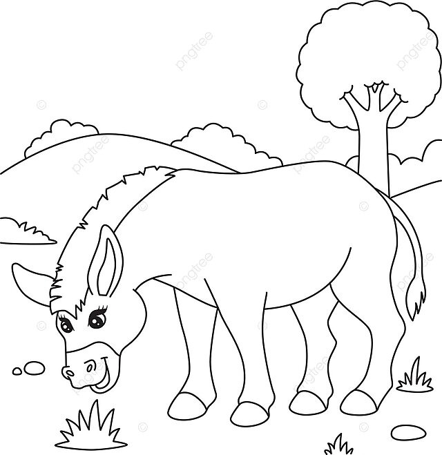 Donkey coloring page for kids artwork clip art vector vector lip drawing key drawing ring drawing png and vector with transparent background for free download