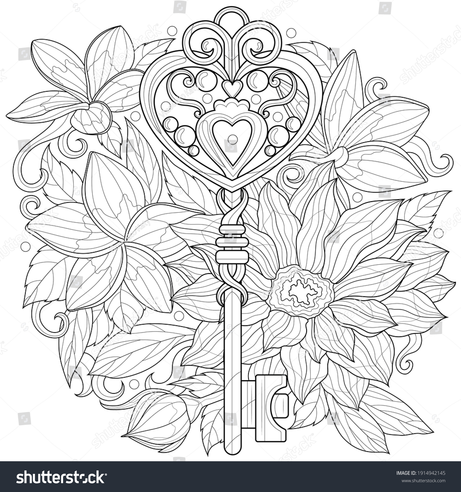 Key coloring page photos images and pictures