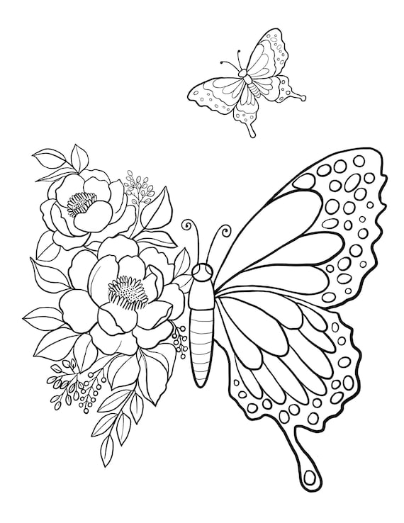 Butterfly printable coloring sheet coloring pages kids coloring pages kids summer activity butterfly pictures