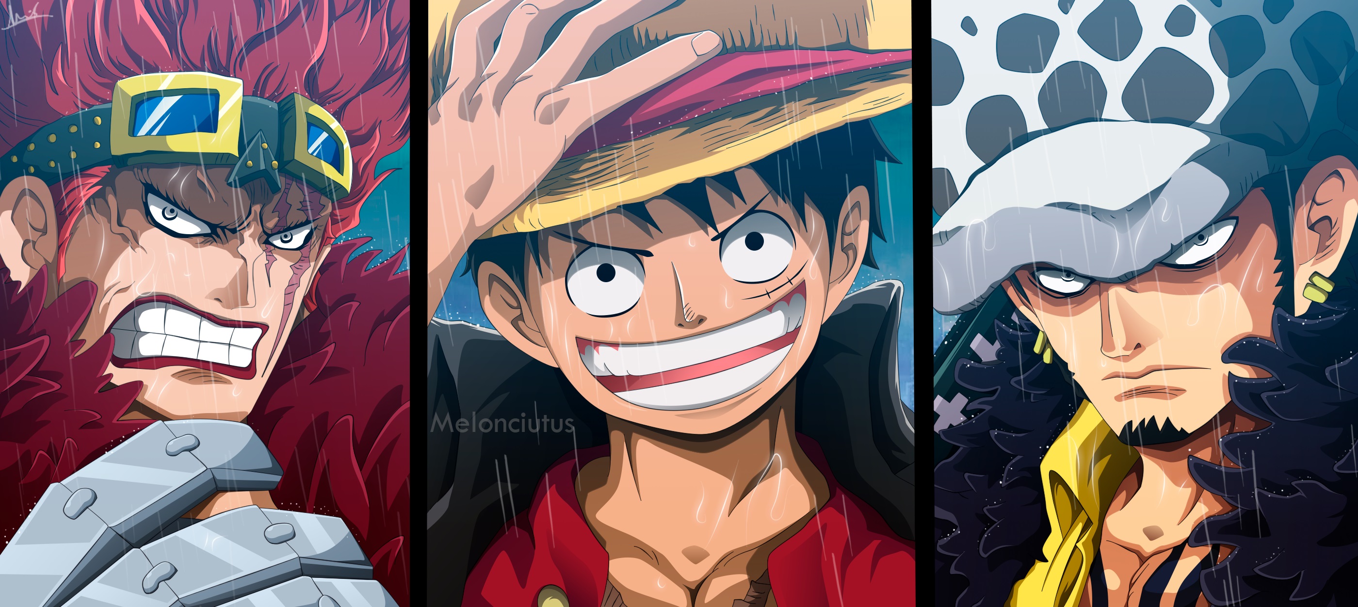 Luffy law kid wallpapers