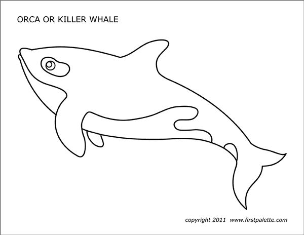 Whale free printable templates coloring pages fish coloring page free coloring page template prinâ whale coloring pages fish coloring page coloring pages