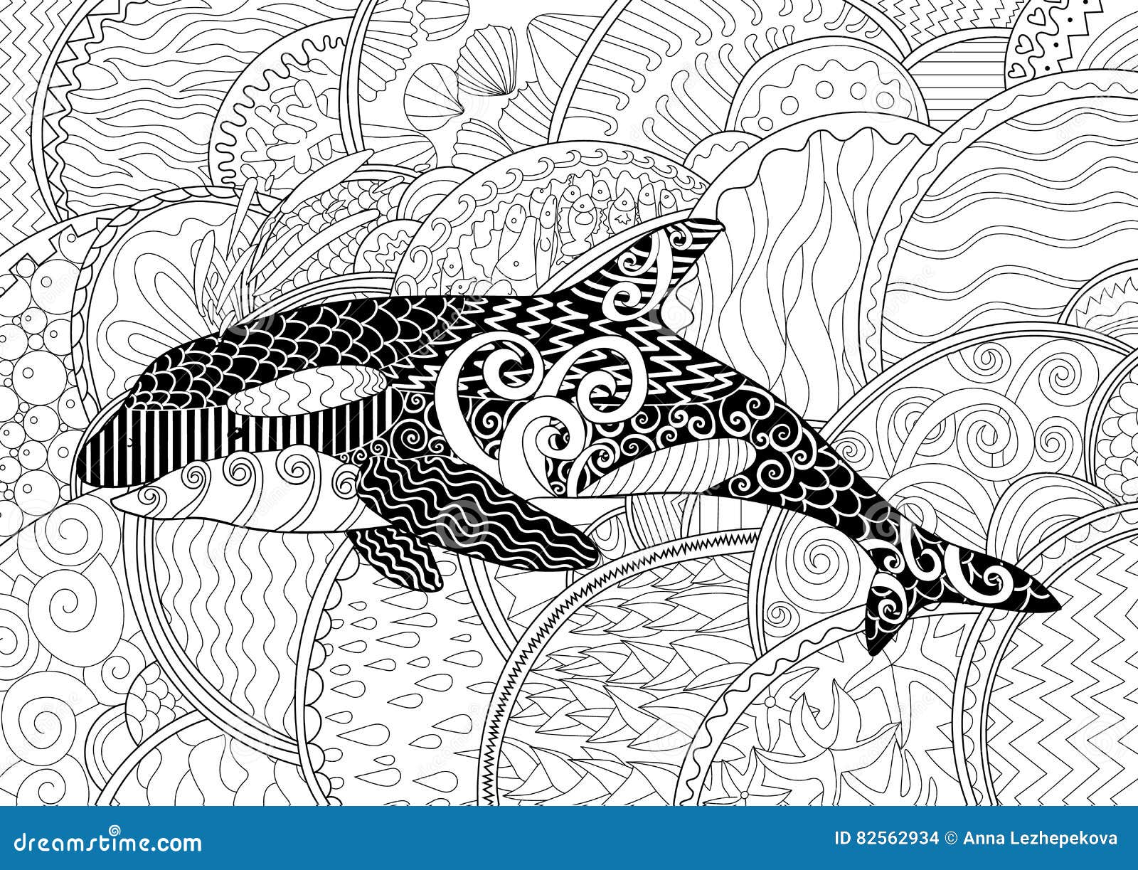 Orca coloring stock illustrations â orca coloring stock illustrations vectors clipart