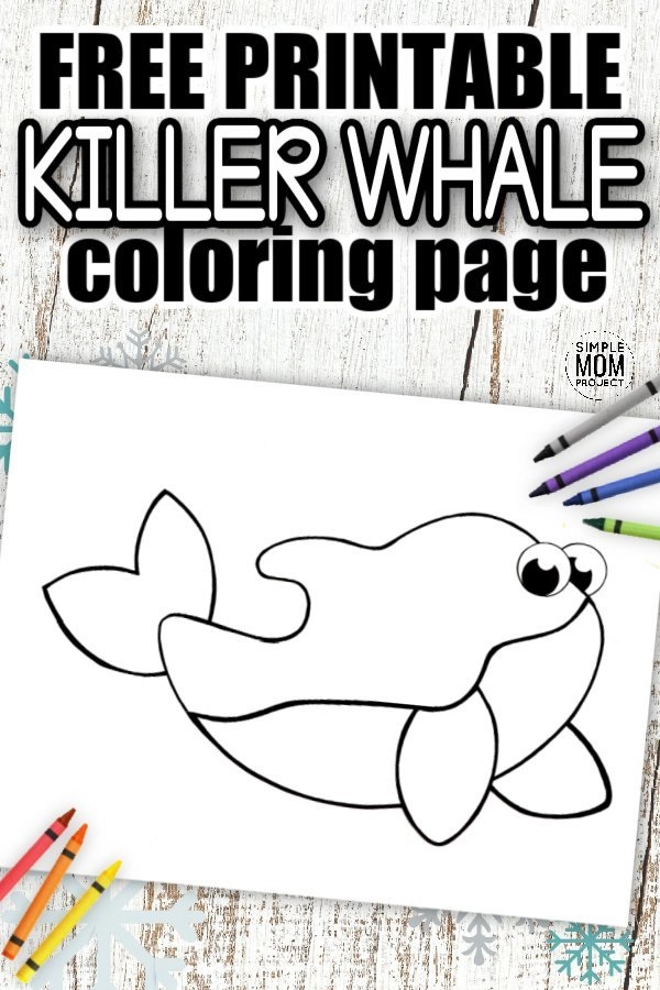 Free printable orca killer whale template â simple mom project