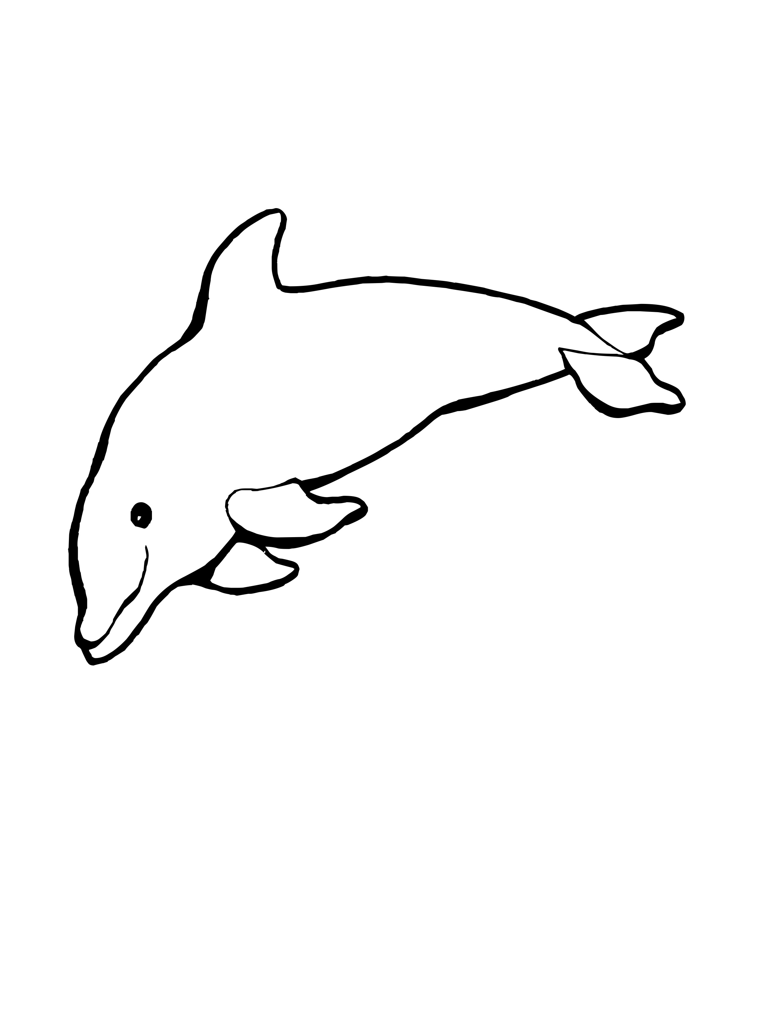 Free printable killer whale coloring pages for kids