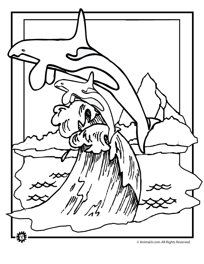 Killer whale coloring pages to download and print for free