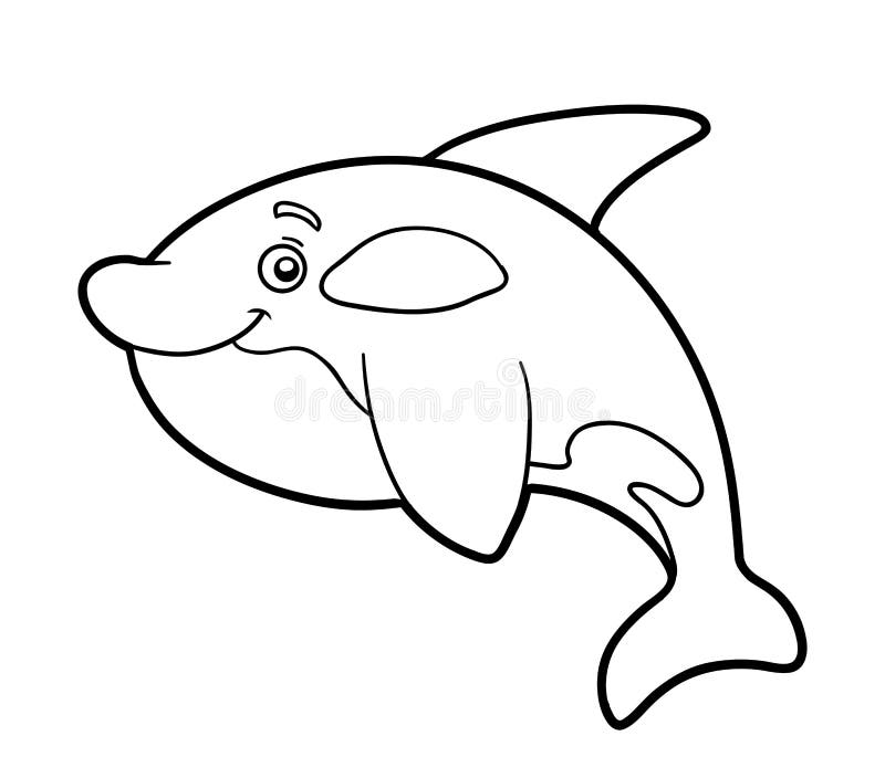 Coloring book coloring page killer whale stock vector