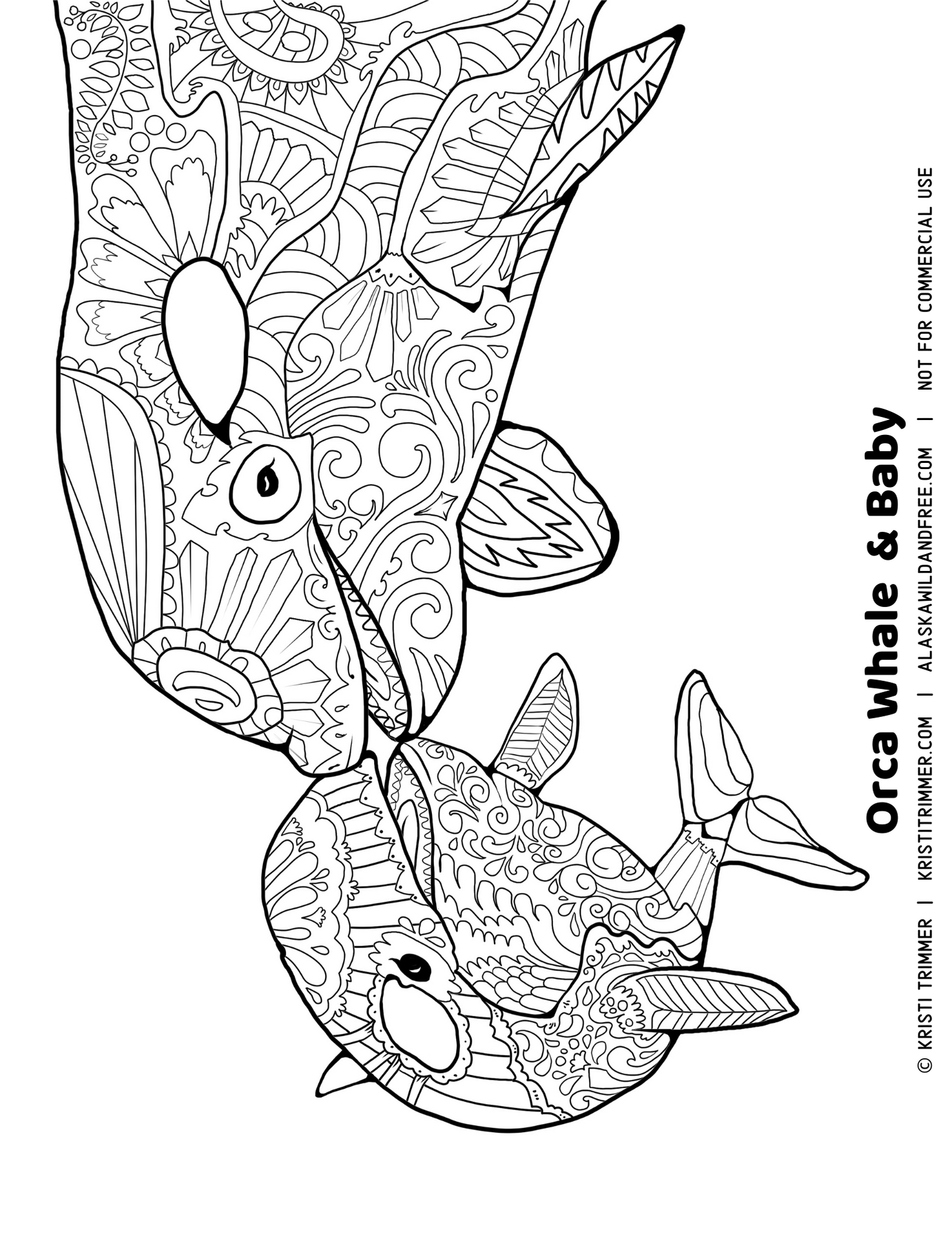 Orca whale baby coloring sheet