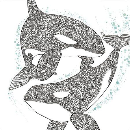 Mesmerizing orca whale coloring page