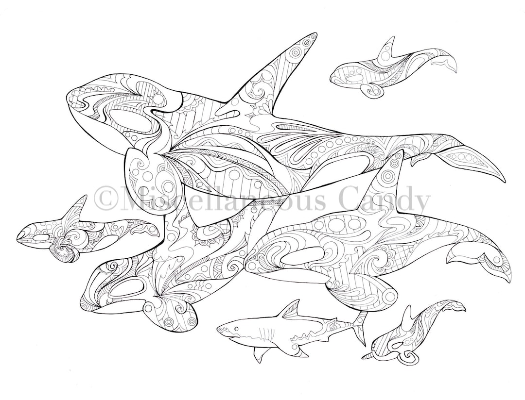 Orca pod coloring sheet instant download