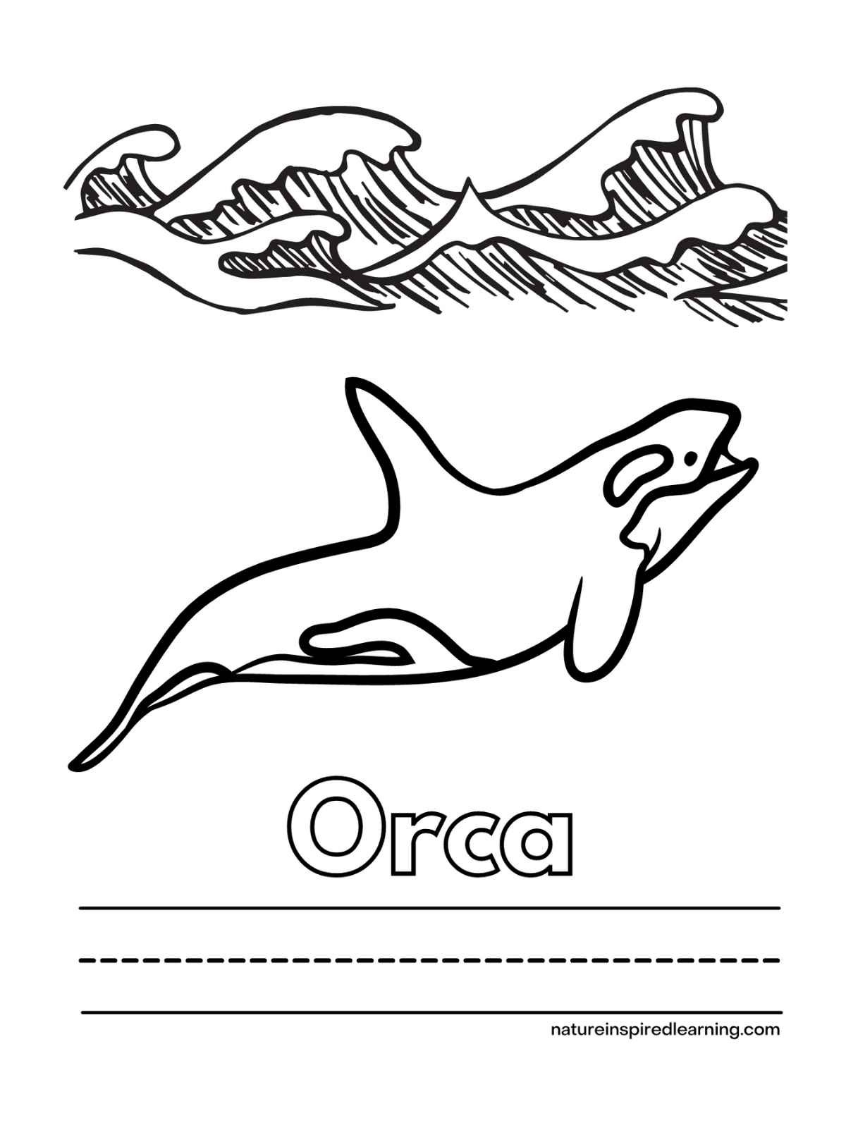 Orca coloring pages for kids