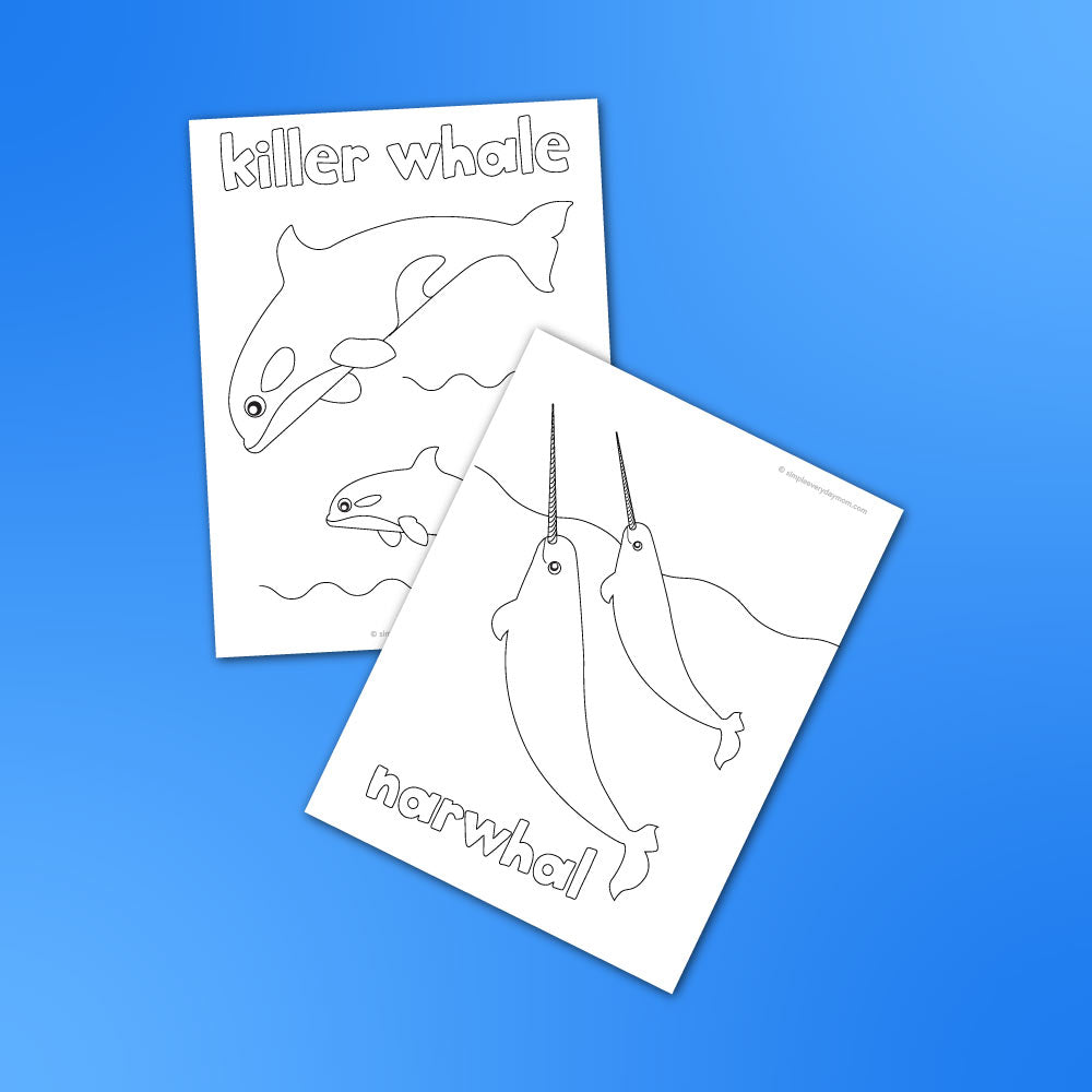 Whale coloring pages â simple everyday mom