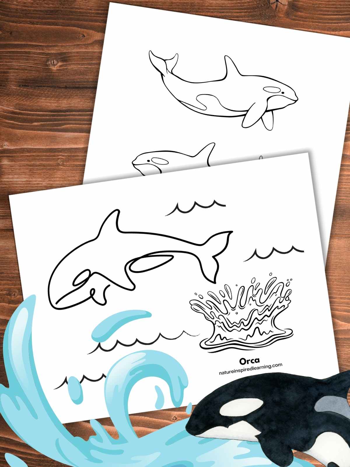 Orca coloring pages for kids