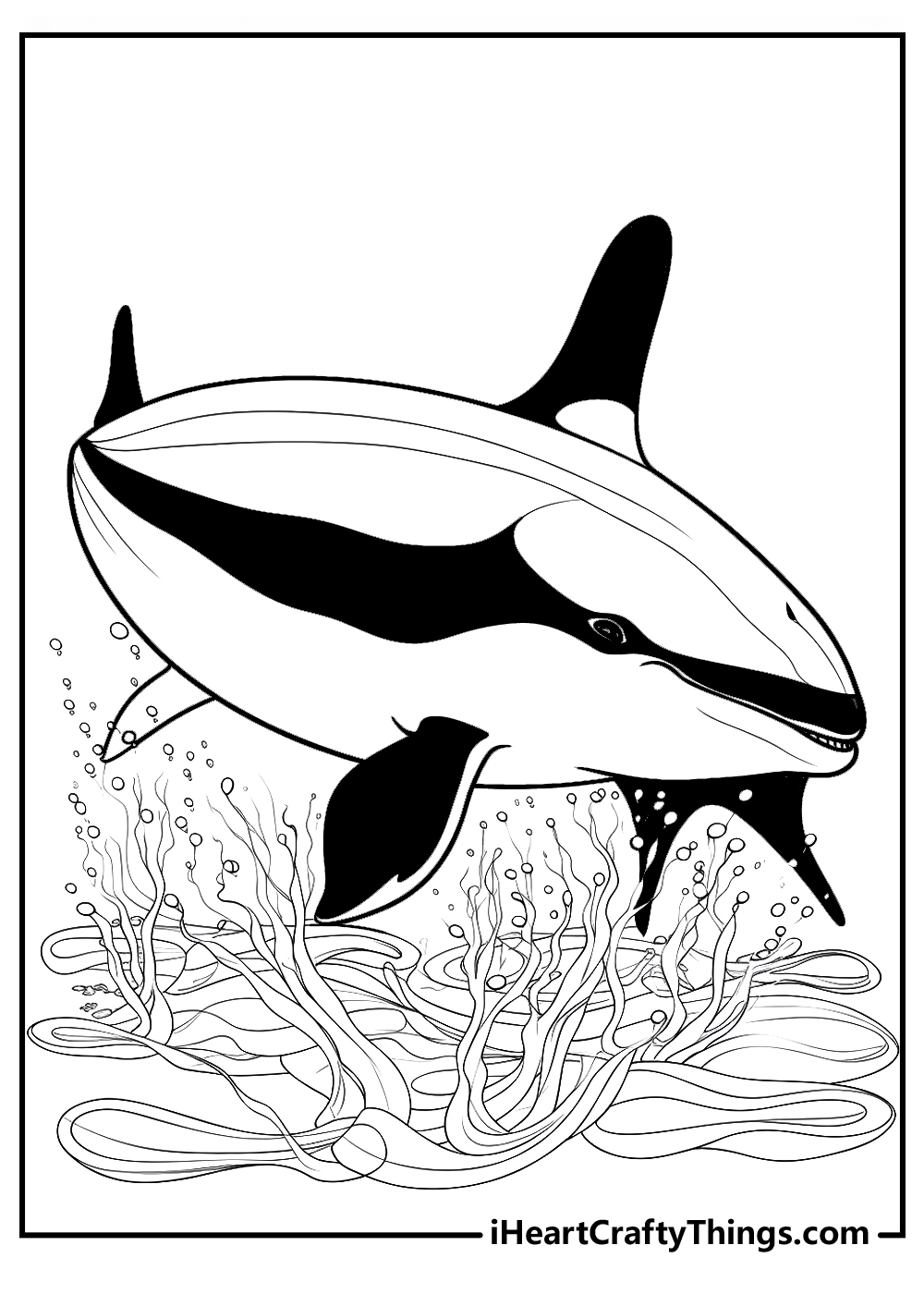 Killer whale coloring pages free printables