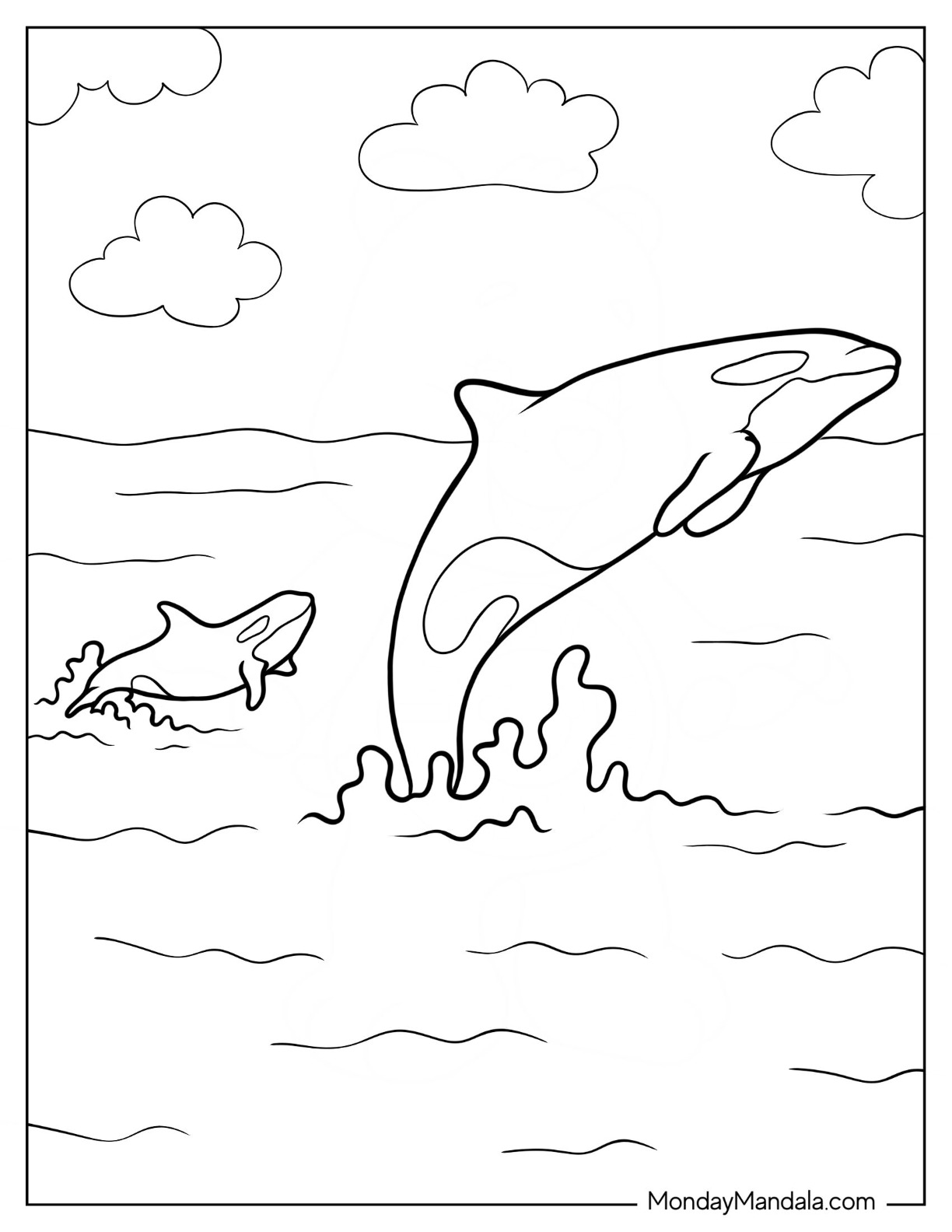 Killer whale coloring pages free pdf printables