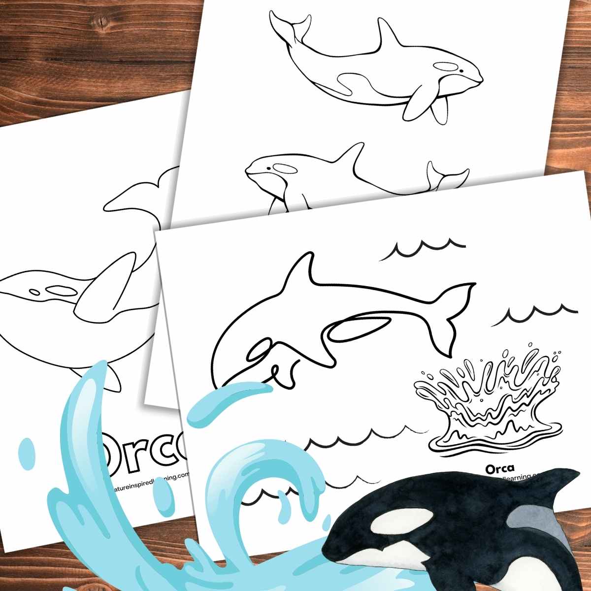 Orca coloring pages for kids