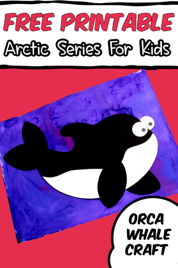 Deep ocean creatures orca whale craft