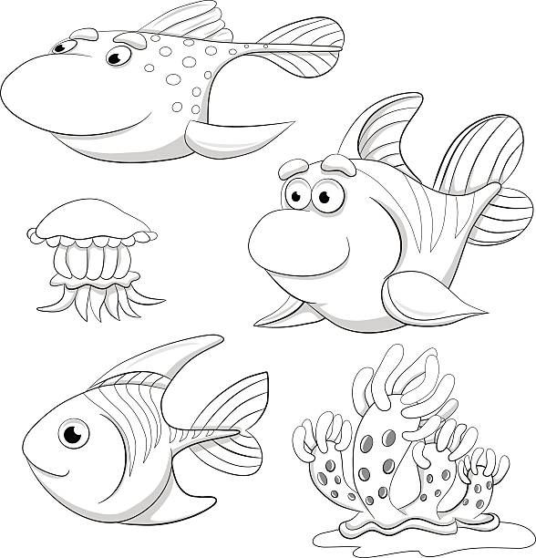 Jellyfish coloring pages pictures stock illustrations royalty