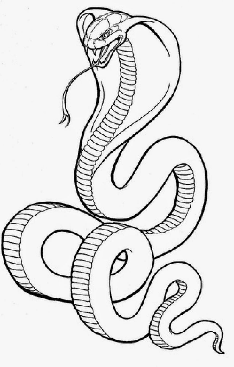 King coa snake coloring pages