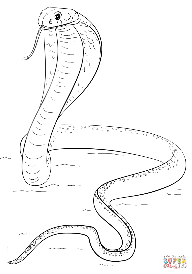 King cobra coloring page free printable coloring pages