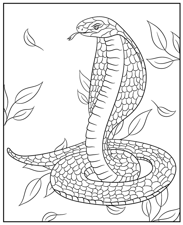 King cobra coloring page snake