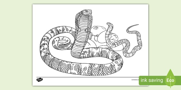 King cobra colouring page teacher made