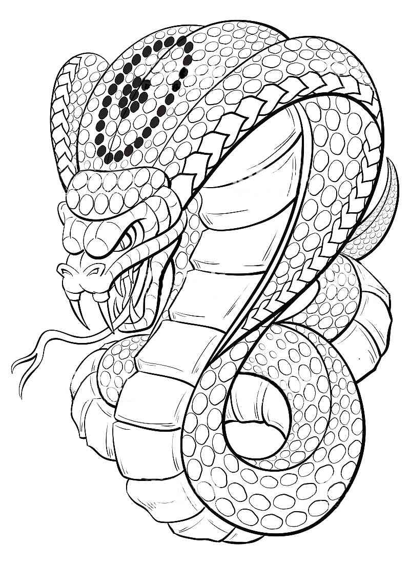 Cobra coloring pages for adults