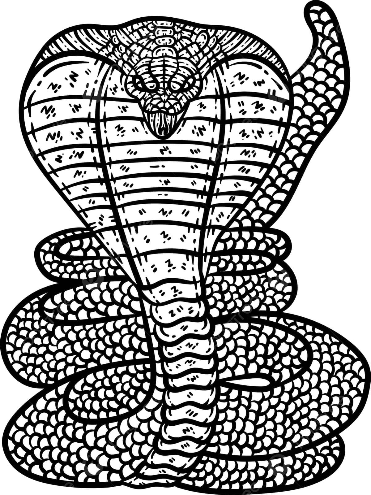 Cobra animal coloring page for adults graphic coloring colouring vector animal drawing ring drawing color drawing png and vector with transparent background for free download